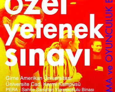 girne amerikan universitesi