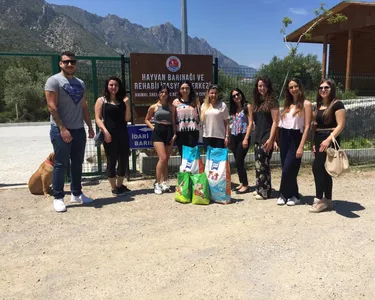 girne amerikan universitesi