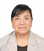 Prof. Dr. Terin ADALI